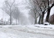 英国的雪：英国气象局对我们是否会看到一个白色的11月做出了判断